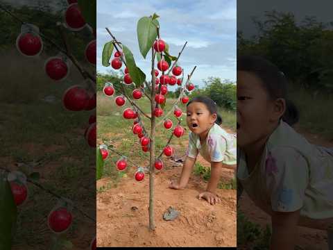 Survival Skills: single mom with SMART idea and CANDY #camping #outdoors #bushcraft