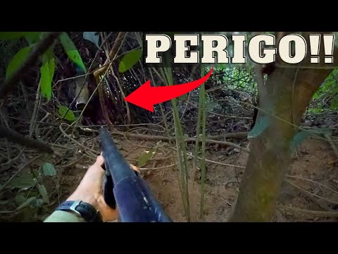 CARA A CARA - CONTROLE DE JAVALI - JAVALI BRASIL