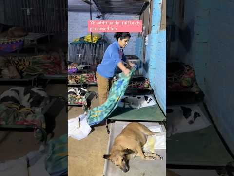 Kya aap in ke liye ₹1 donate kre ge? Link in bio