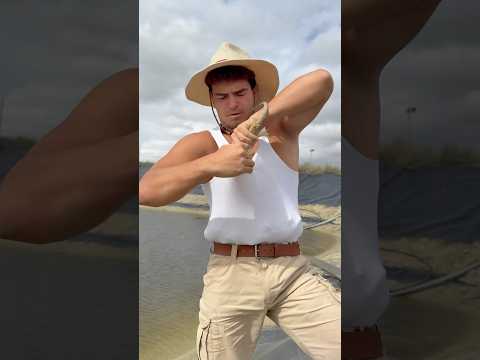 Rescaté 7 Lagartos de una Balsa… #animales #rescate #viral #shorts