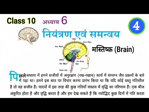 नियंत्रण एवं समन्वय || control and coordination class 10 | niyantran evam samanvay class 10th part-4