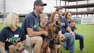 2016 Grand Slam Adoption Event Recap with Kate Upton