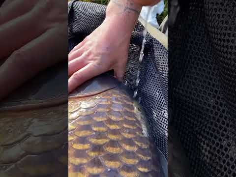 It's not just about catching and killing......