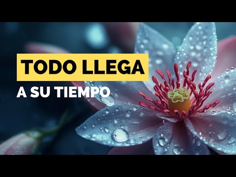 ¡TODO LLEGA A SU DEBIDO TIEMPO! Claves de Sabiduría Budista para Vivir en Paz 🕊️ | CONFÍA