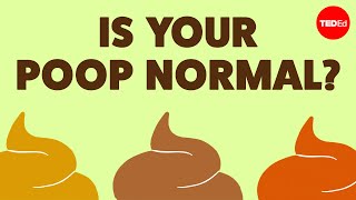 What your poop can tell you about your health - Hannibal Person