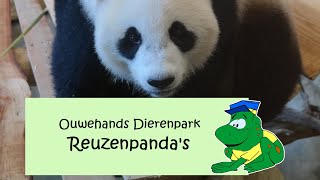 Ouwehands Dierenpark Videos Kansas City Comic Con