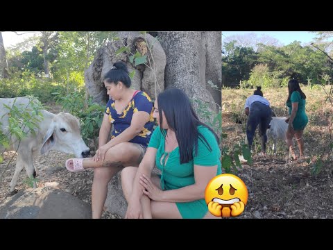 🔴-roxi hace amistad con una vaca y le da de comer🐄 perdiendo el mied()😨