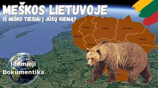 Meškos Lietuvoje | Mitai ir tikrovė – ar turime bijoti?