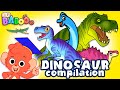 Dinosaur Identification and Characteristics