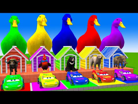 5 Giant Duck Cartoon,Cow,Lion,Puppy,Elephant,Tiger, Paint Wild Animals Crossing Fountain Animation