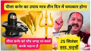 25 september वैनायकी गणेश चतुर्थी | शारदीय नवरात्रि की चतुर्थी तिथि | chaturthi upay pradeep mishra