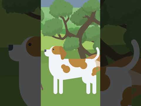 Yatra | One Minute Story | Cartoon Animal | #cartoonanimal