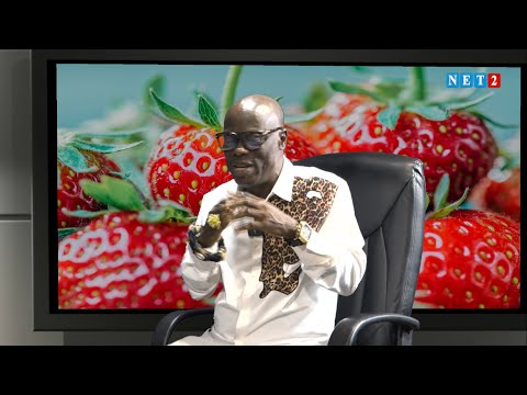 SECRETS OF HEALTH WITH OHENEBA BARIMA NTIM (DECEMBER 13,2024)