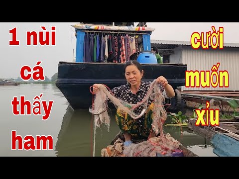 Chưa Bao Giờ Thăm Lưới Mà Trúng Cá Và Vui Nhất Năm Là Đây # SĂN BẮT ĐỒNG THÁP #