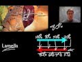 Understanding Homeostasis Hugs