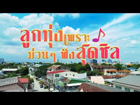 ลูกทุ่งเพราะ ม่วนๆ ฟังสุดชิล