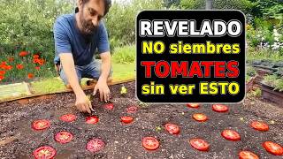 ¿Cómo sembrar Tomates? Todo Explicado (Sin Complicaciones) Guía Paso a Paso TOMARTES2025 Ep. 1