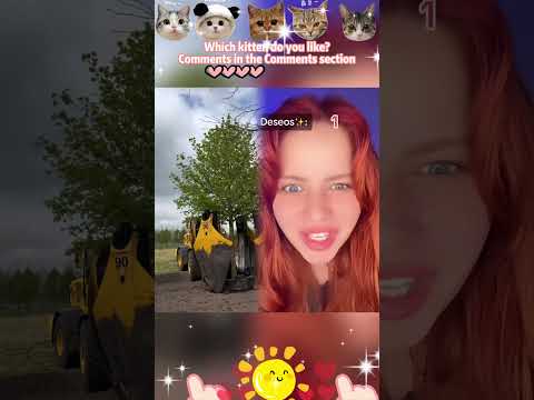 #pov Todo el mundo nace con 3 deseos