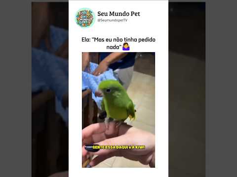 Não pedi nada 🤷‍♀️ #animais #brasileiro #shortsvideos #cachorros #gatos #humorbrasileiro