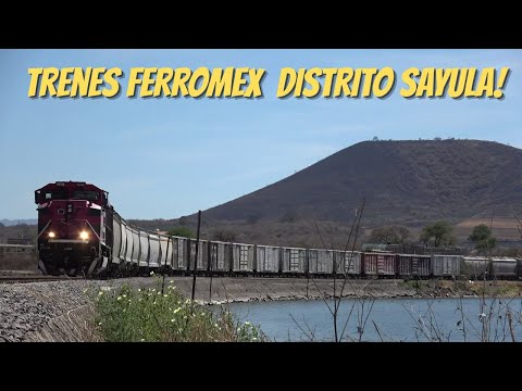 Dos trenes FERROMEX en la presa de Valencia Jalisco!