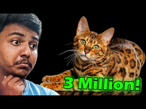 Unbelievable! The rarest pets you've never seen before