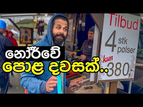 අවුරුද්දටම තුන් පාරක් තියන නෝර්වේ  පොලක්|daily vlog|Norway|europe