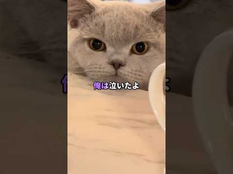 猫エサ缶とコーヒー