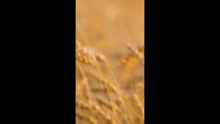 John Deere | Mr. Mukesh Kumar’s Trusted Choice