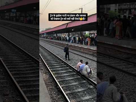 ट्रेन के ड्राईवर पटरी पर इंसान और जानवर को देखकर ट्रेन को क्यों नहीं रोकते🤔है? #shorts #locopilot