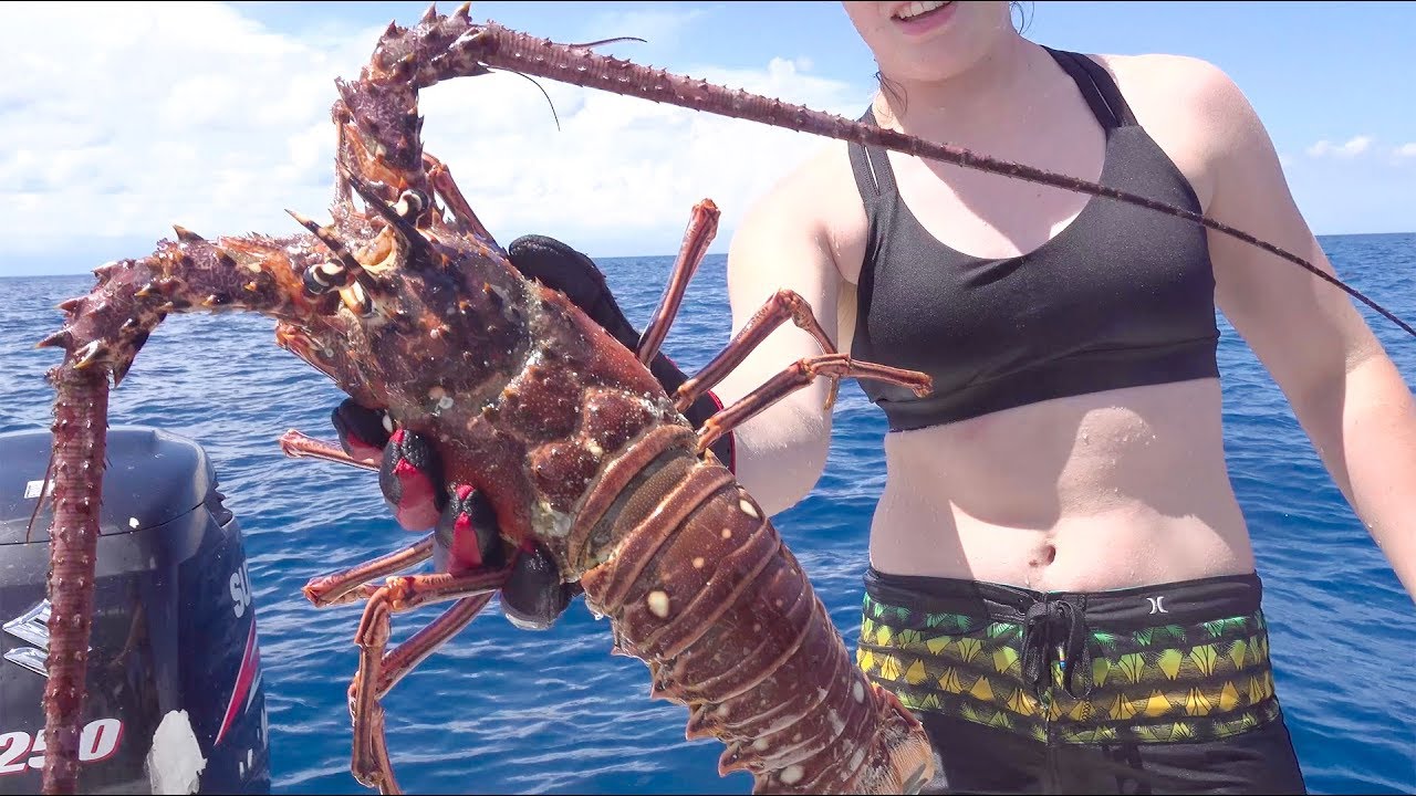 LOBSTER Catch Clean Cook How to cook Lobster Tail