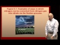 Understanding Nitrogen in Soil