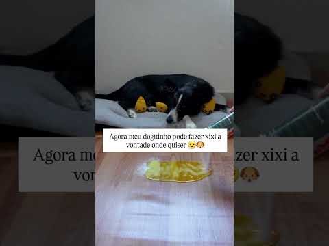 ✨️👇Link do produto está na descrição do vídeo