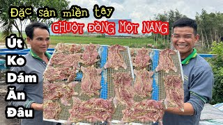 CHUỘT ĐỒNG MỘT NẮNG Làm Rồi Không Dám Ăn • Lý Do Vì Sao??