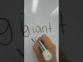 Understanding Syllable Division and Vowel Patterns