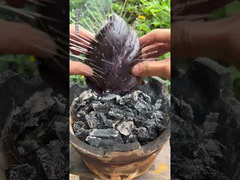 Is Straw Hat Brother’s heart black?|Chinese Mountain Forest Life and Food #TikTok#FYP