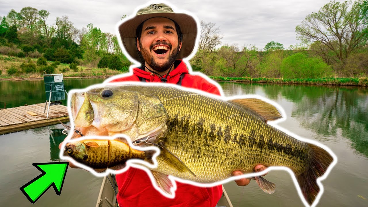 Big swimbait catches giant bass in backyard pond! (new pond pb)