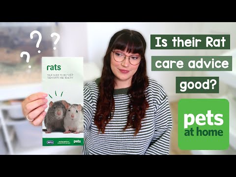 Reacting to the NEW Pets at home rat care guide