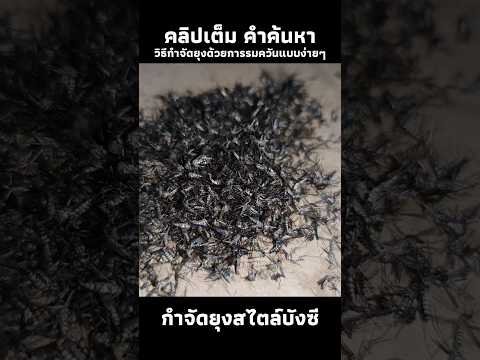 รมควันยุงแบบง่ายๆ