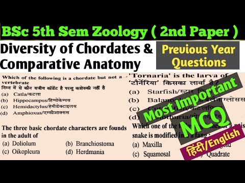 MCQ on Chordates//BSc 3rd Year 5th Semester Zoology 2nd Paper MCQ/MCQ on Chordates in Hindi