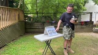 Snake Week 2025 - Sat, July 19 - “Morphs & the Pet Trade”