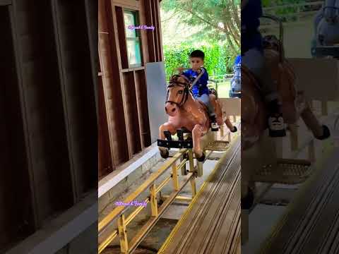 I am a Fake Horse Rider 😍😍 #shorts #viralshorts #ytshorts #fyp #themepark #amusementpark