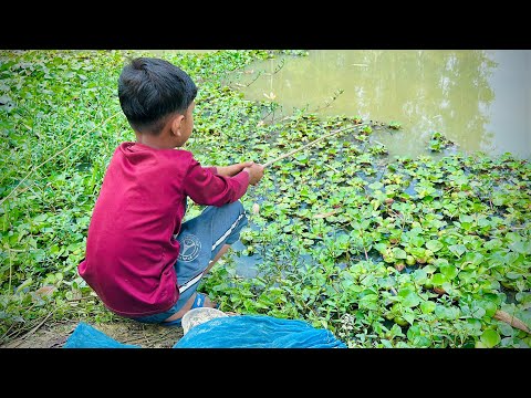 Fishing Video  🎣  Village Smart Boy Fishing With Hook ~ Traditional Hook Fishing ~ Рыбалка Видео