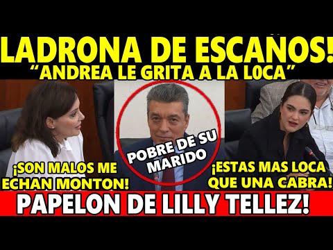 SE DIERON CON TODO! ANDREA CHAVEZ SE ENFRETA A LA LOCA DEL SENADO! TU ERES PLURI, LADRONA DE ESCAÑOS