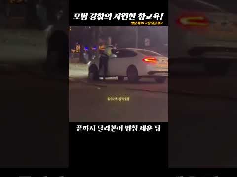 모범경찰에대해 당신이 몰랐던 사실
