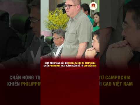 CHẤN ĐỘNG TOÀN CẦU CÚ LỪA GẠO RẺ TỪ CAMPUCHIA, KHIẾN PHILIPPINES PHẢI NGẬM NGÙI NHỚ TỚI GẠO VIỆT NAM