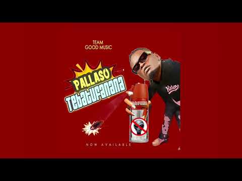 Pallaso - TEBATUFANANA