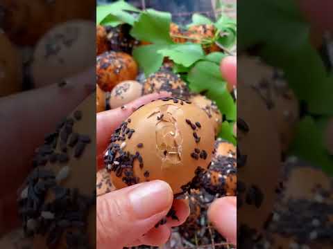 #food #fruit #videoshort #streetfood #eggs #cooking #trunglon #satisfying #eating #delicious