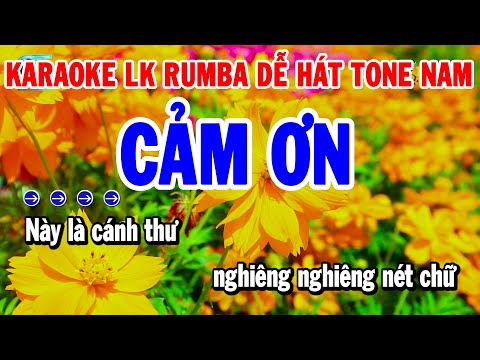 Karaoke Liên Khúc Tone Nam Nhạc Sống Rumba Chuẩn Dễ Hát | Cảm Ơn – Hoa Trinh Nữ | Thanh Hải