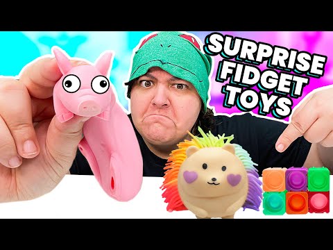 WEIRDEST Fidget Toys Mystery Box Viral TikTok