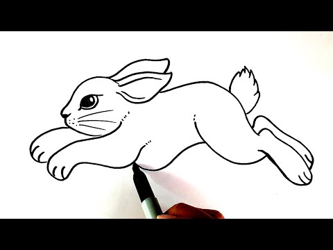 How To Draw A Rabbit Easy Step By Step For Beginners